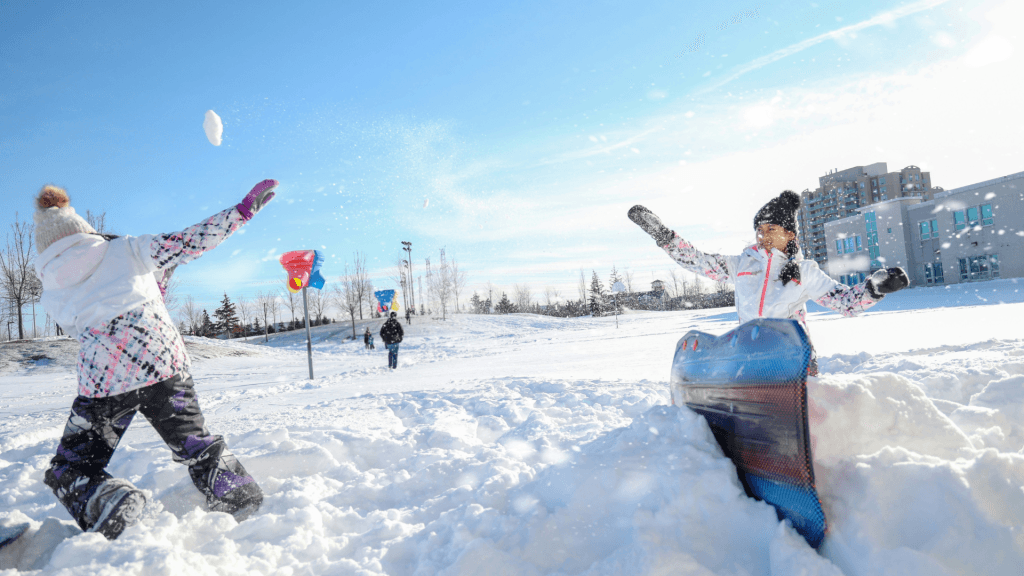What Affects Your Odds Chances of Snow Day Calculator